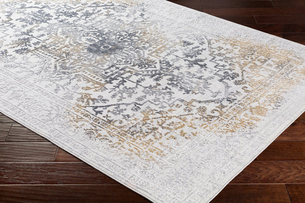 Livabliss Aisha AIS-2308 Charcoal Rug