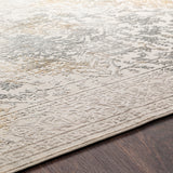 Livabliss Aisha AIS-2308 Charcoal Rug