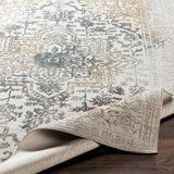 Livabliss Aisha AIS-2308 Charcoal Rug