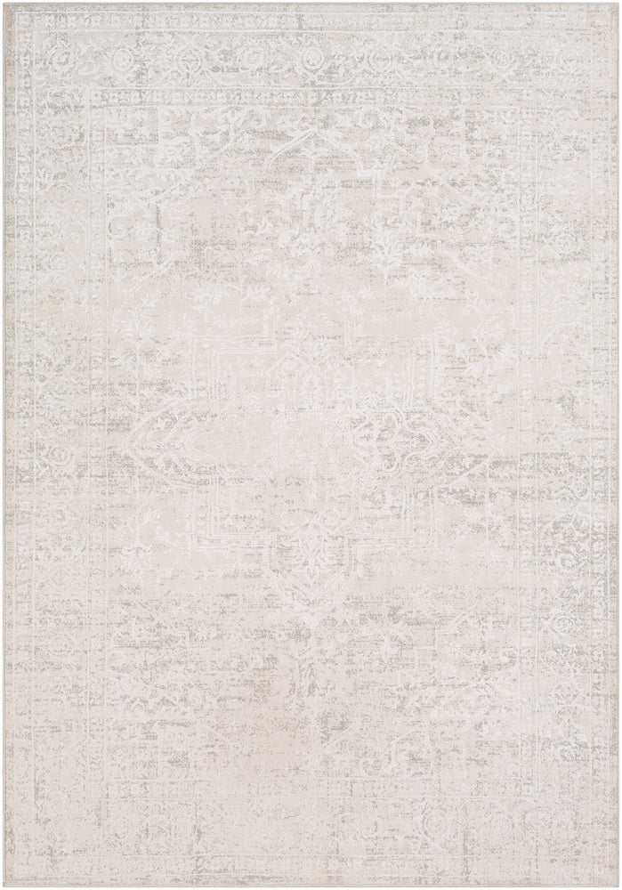 Livabliss Aisha AIS-2309 Medium Gray Rug