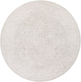Livabliss Aisha AIS-2309 Medium Gray Rug