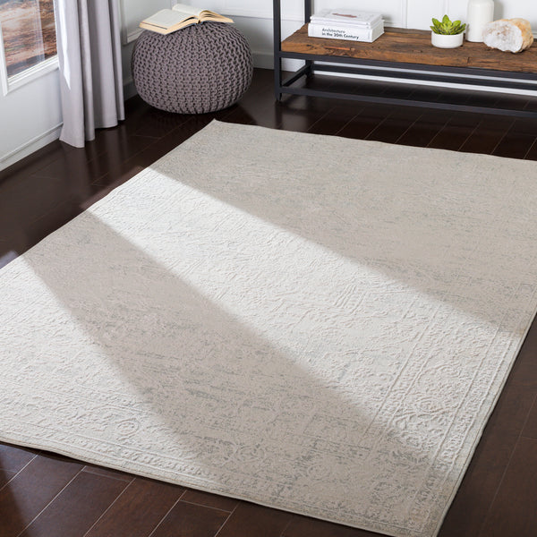 Livabliss Aisha AIS-2309 Medium Gray Rug
