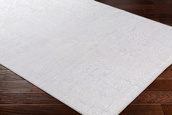Livabliss Aisha AIS-2309 Medium Gray Rug