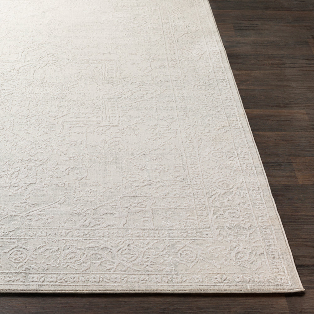 Livabliss Aisha AIS-2309 Medium Gray Rug