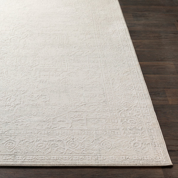 Livabliss Aisha AIS-2309 Medium Gray Rug