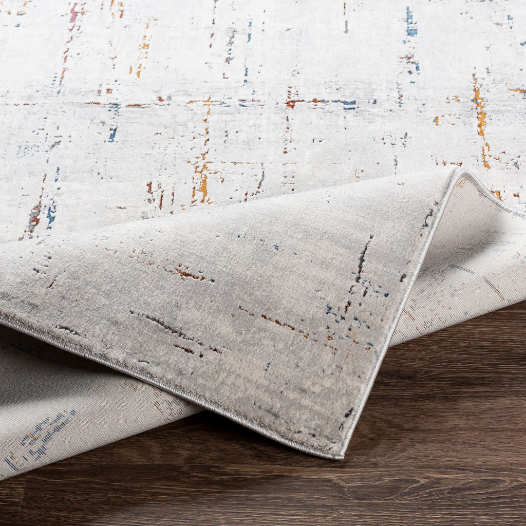 Surya Rug Co. Aisha Medium Gray Rug | Aisha Rugs | Rugs Done Right