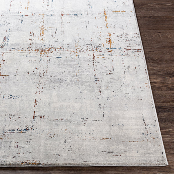 Surya Rug Co. Aisha Medium Gray Rug | Surya Rugs | Rugs Done Right