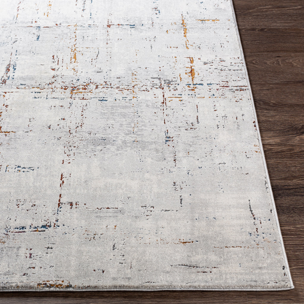 Surya Rug Co. Aisha Medium Gray Rug | Aisha Rugs | Rugs Done Right