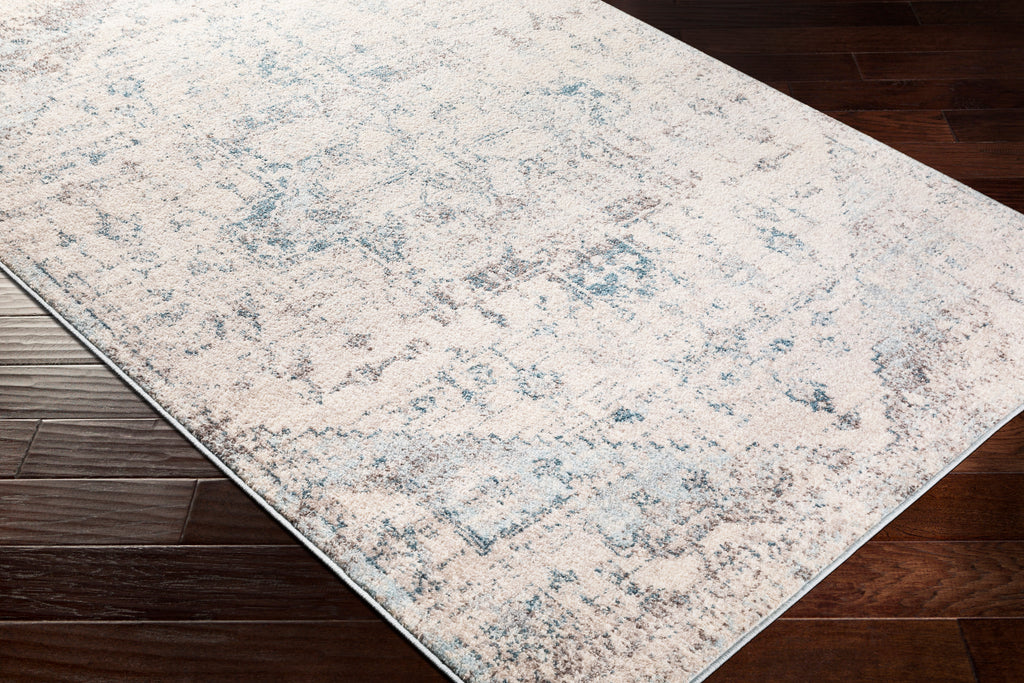 Surya Ankara  Pale Blue Rug | Pale Rugs | Rugs Done Right 