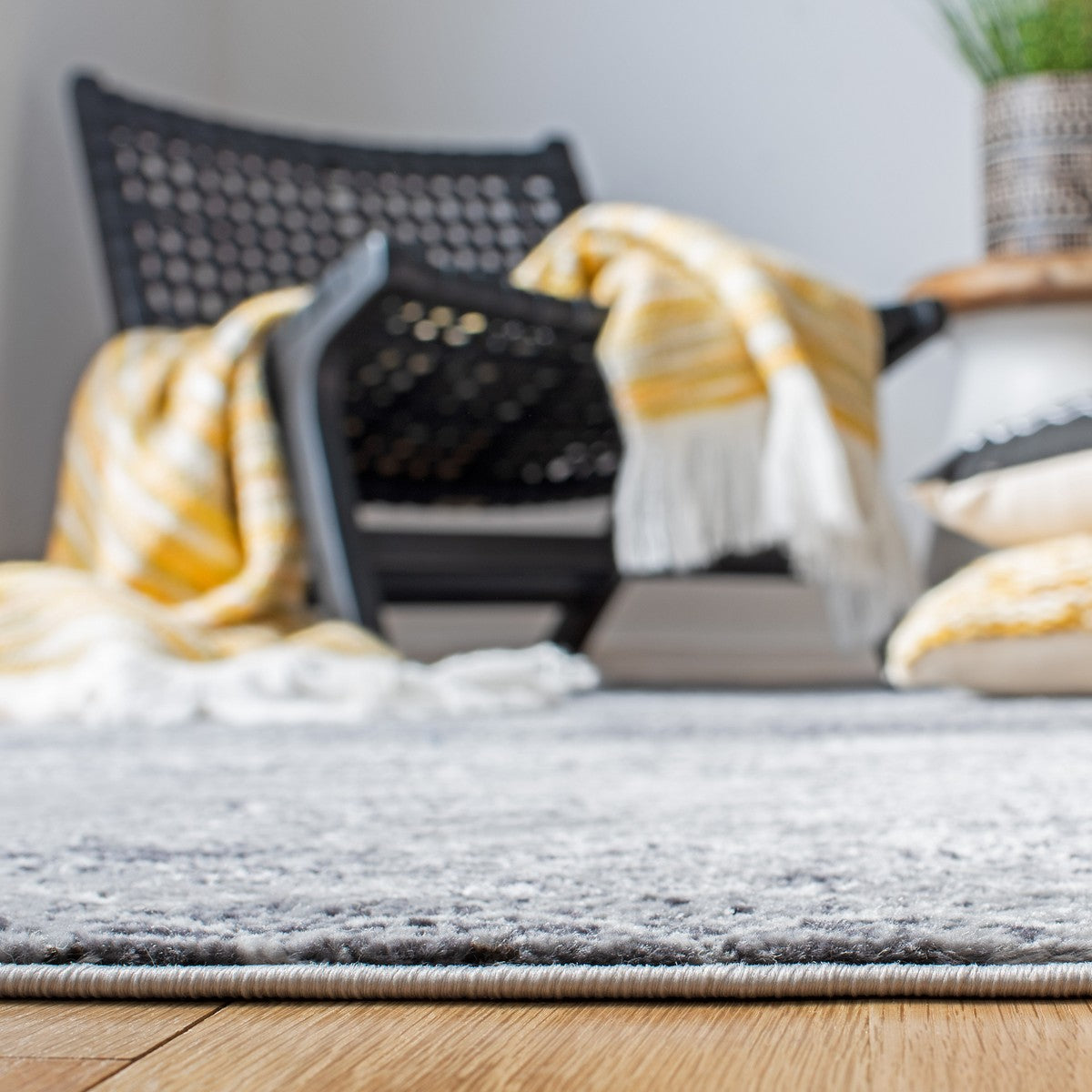 safavieh clearance amelia ala761f grey rug