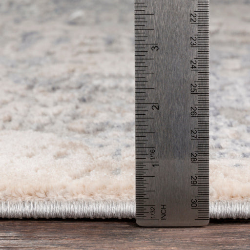 Livabliss Alpine ALP-2306 Medium Gray Rug