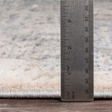 Livabliss Alpine ALP-2306 Medium Gray Rug