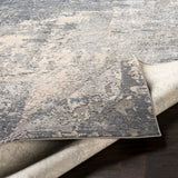 Surya Rug Co. Alpine Medium Gray Rug | Contemporary Rugs | Rugs Done Right 