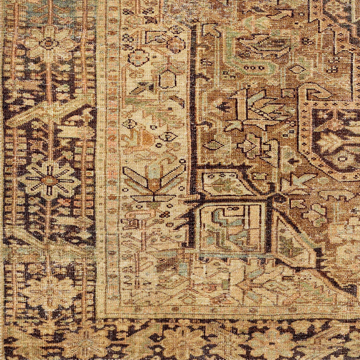 surya amelie aml 2348 dark brown rug