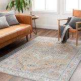 surya amelie aml 2373 ash rug