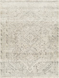 surya amelie aml 2379 light grey rug