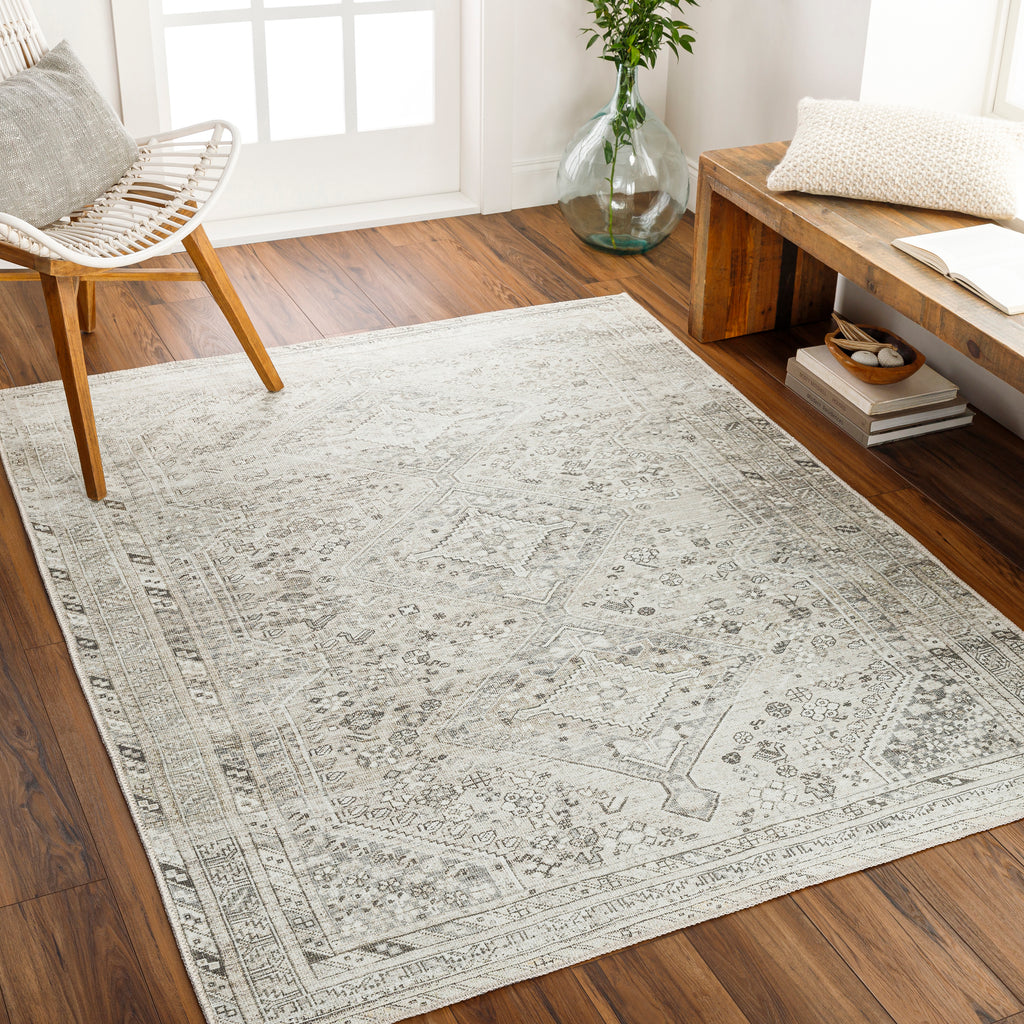 surya amelie aml 2379 light grey rug
