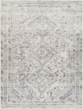surya amelie aml 2380 light silver rug