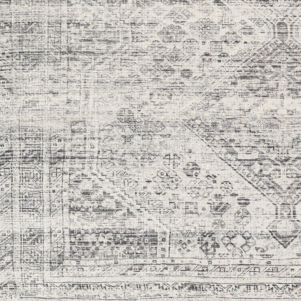 surya amelie aml 2381 ash rug