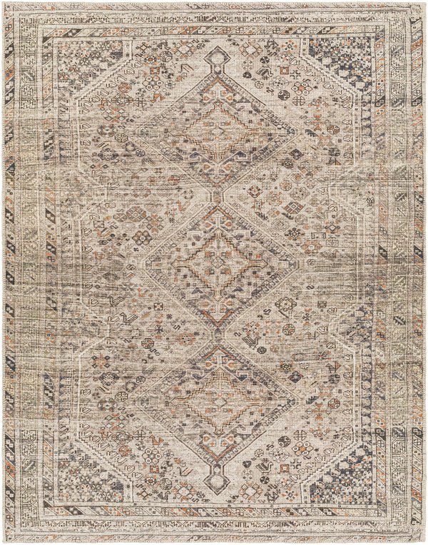 surya amelie aml 2383 ash rug