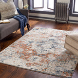 surya amore amo 2311 navy rug