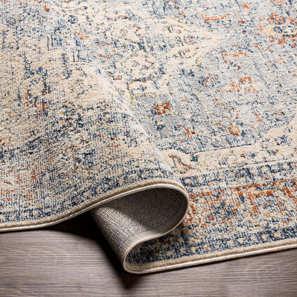 surya amore amo 2312 navy rug