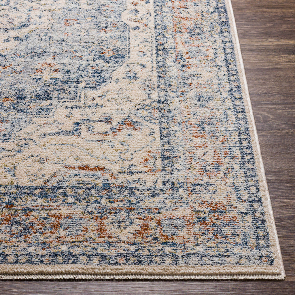 surya amore amo 2312 navy rug