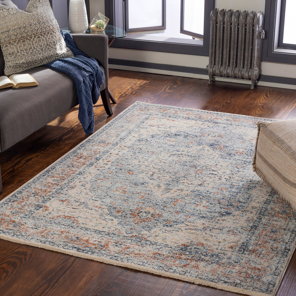surya amore amo 2312 navy rug