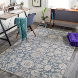 Surya Closeout Amore AMO-2313 Beige Rug