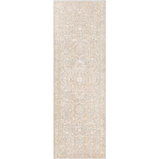 Surya Closeout Amore AMO-2324 Tan Rug