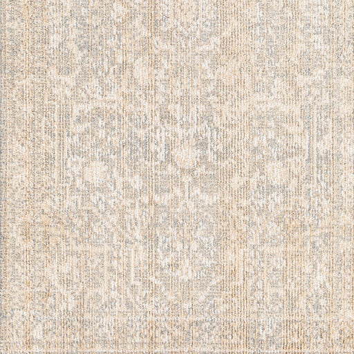 Surya Closeout Amore AMO-2324 Tan Rug