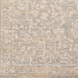 Surya Closeout Amore AMO-2324 Tan Rug