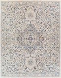 surya amore amo 2325 denim rug