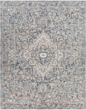 Surya Closeout Amore AMO-2326 Charcoal Rug
