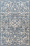 Surya Closeout Amore AMO-2327 Denim Rug