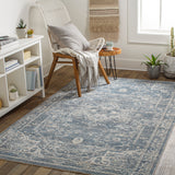 Surya Closeout Amore AMO-2327 Denim Rug