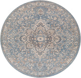 Surya Closeout Amore AMO-2328 Denim Rug