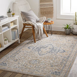 Surya Closeout Amore AMO-2331 Tan Rug