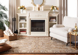 Safavieh Clearance Anatolia AN558A Dark Grey Rug