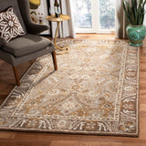 Safavieh Clearance Anatolia AN558A Dark Grey Rug