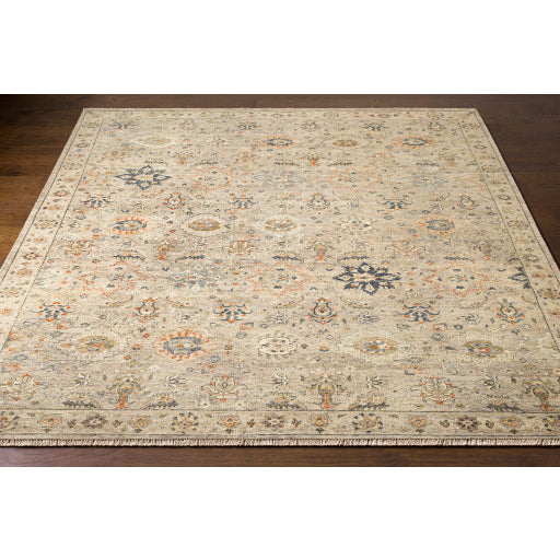 Surya Closeout Anatolia ANY-2305 Taupe Rug