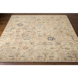 Surya Closeout Anatolia ANY-2305 Taupe Rug
