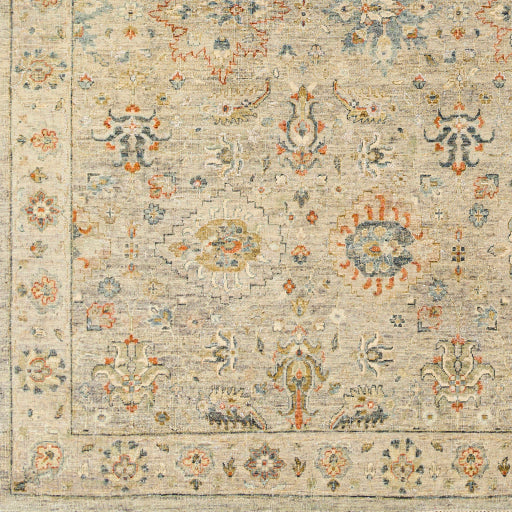 Surya Closeout Anatolia ANY-2305 Taupe Rug