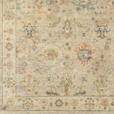 Surya Closeout Anatolia ANY-2305 Taupe Rug