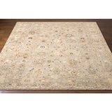 Surya Anatolia ANY-2306 Taupe Rug