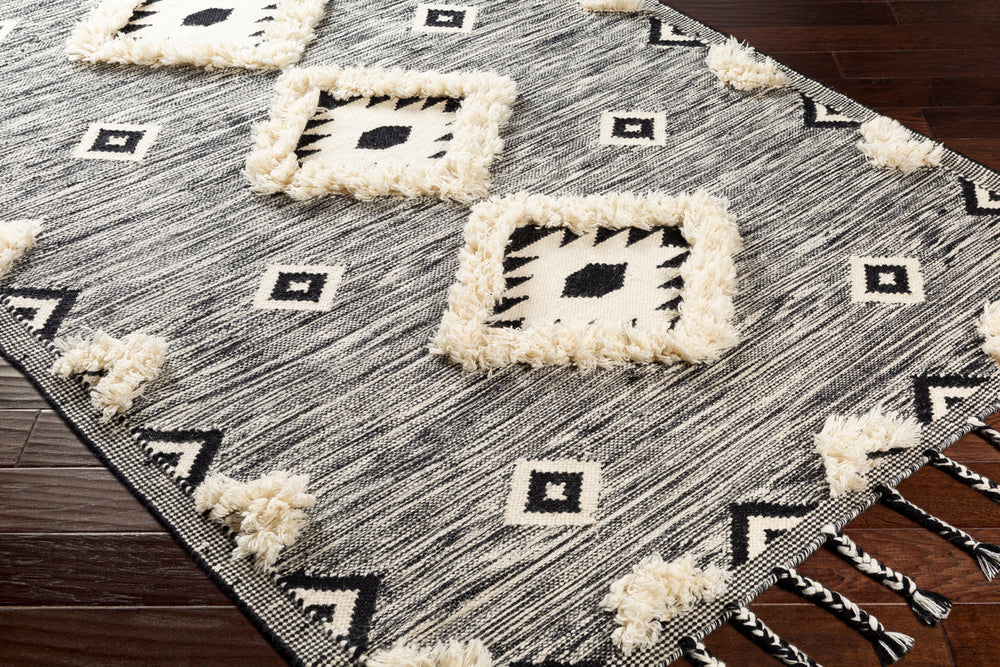 Surya Closeout Apache APA-2302 Black Rug