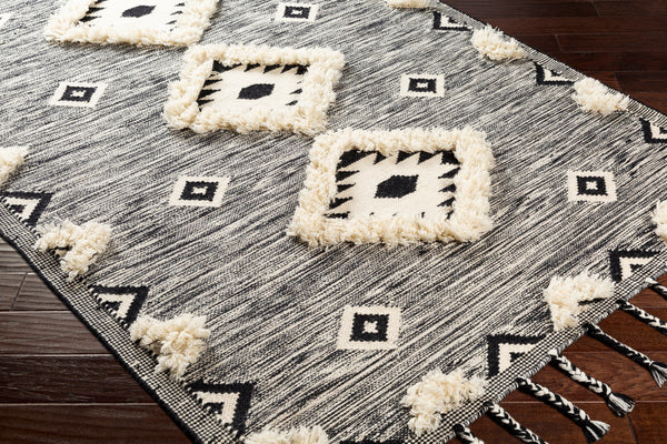 Surya Closeout Apache APA-2302 Black Rug