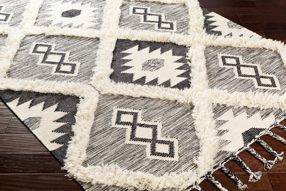 Surya rug co. | black rug | apache | rugs done right
