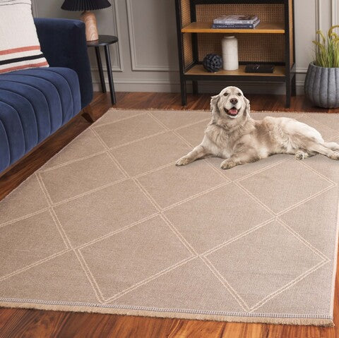 safavieh clearance aspect ape406b natural rug
