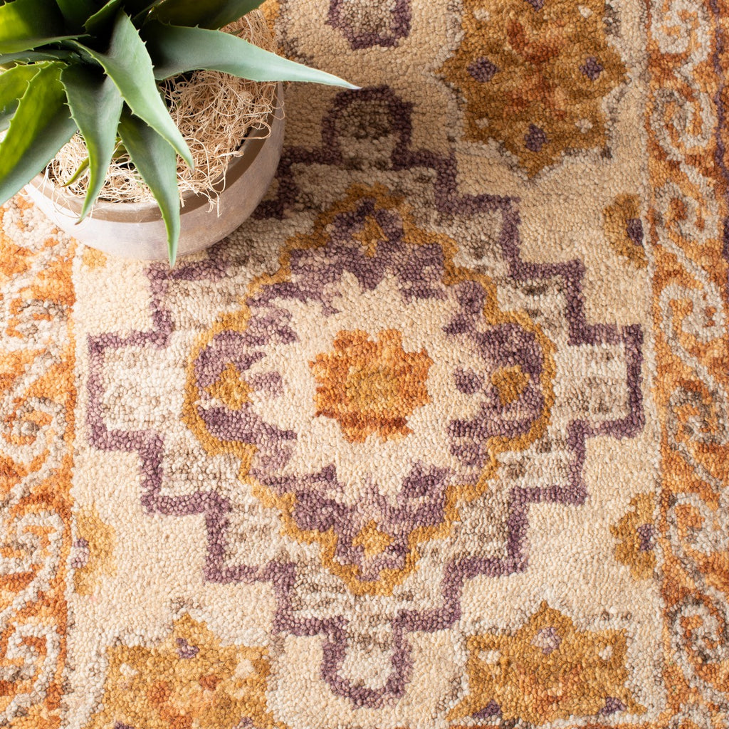 safavieh clearance aspen apn127t brown rug